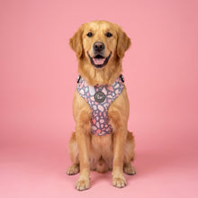 Load image into Gallery viewer, Trendy Terrazzo Harness
