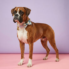 Load image into Gallery viewer, Comfy Cotton Checkered Collar &amp; Bow Tie
