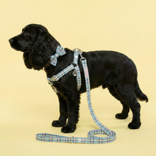 Load image into Gallery viewer, Comfy Cotton Blue Tartan Lead
