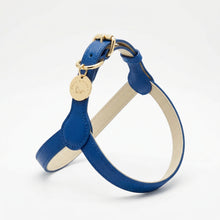 Load image into Gallery viewer, Blue Leather step-in Harness

