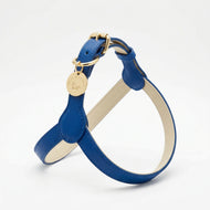 Blue Leather step-in Harness