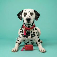 Load image into Gallery viewer, Sweetheart Leather Traditional Dog Collar
