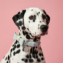 Load image into Gallery viewer, Aquamarine Leather Bow Tie
