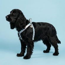 Load image into Gallery viewer, Comfy Cotton Blue Tartan Harness
