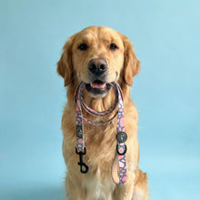 Load image into Gallery viewer, Trendy Terrazzo Leash
