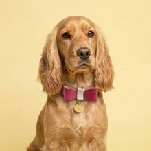 Load image into Gallery viewer, Raspberry Ripple Traditional Dog Collar

