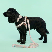 Load image into Gallery viewer, Comfy Cotton Candy Harness
