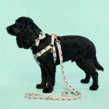 Load image into Gallery viewer, Comfy Cotton Checkered Harness
