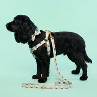 Comfy Cotton Checkered Harness