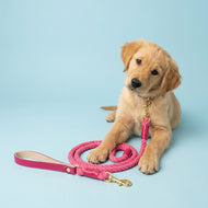 Raspberry Ripple Traditional Leather Rope Dog Lead