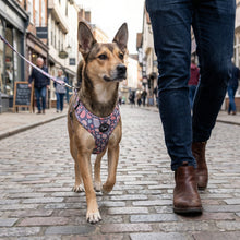 Load image into Gallery viewer, Trendy Terrazzo Leash
