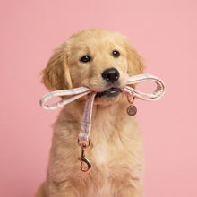 Load image into Gallery viewer, Comfy Cotton Candy Lead
