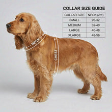 Load image into Gallery viewer, Sweetheart Leather Traditional Dog Collar
