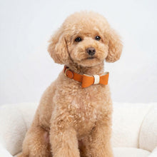 Load image into Gallery viewer, Orange Leather Bow Tie
