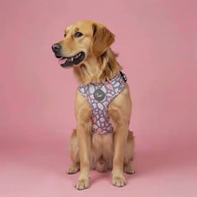 Load and play video in Gallery viewer, Trendy Terrazzo Harness
