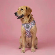 Trendy Terrazzo Harness