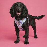 Brush Strokes Pattern Harness