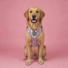 Load and play video in Gallery viewer, Trendy Terrazzo Harness

