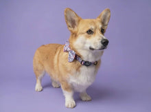 Load and play video in Gallery viewer, Trendy Terrazzo Bow Tie
