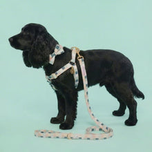 Load and play video in Gallery viewer, Comfy Cotton Checkered Lead
