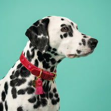 Load image into Gallery viewer, Sweetheart Leather Traditional Dog Collar
