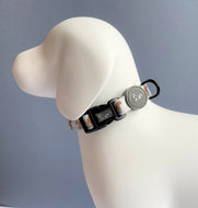 Squirrely Wuirrley  Collar