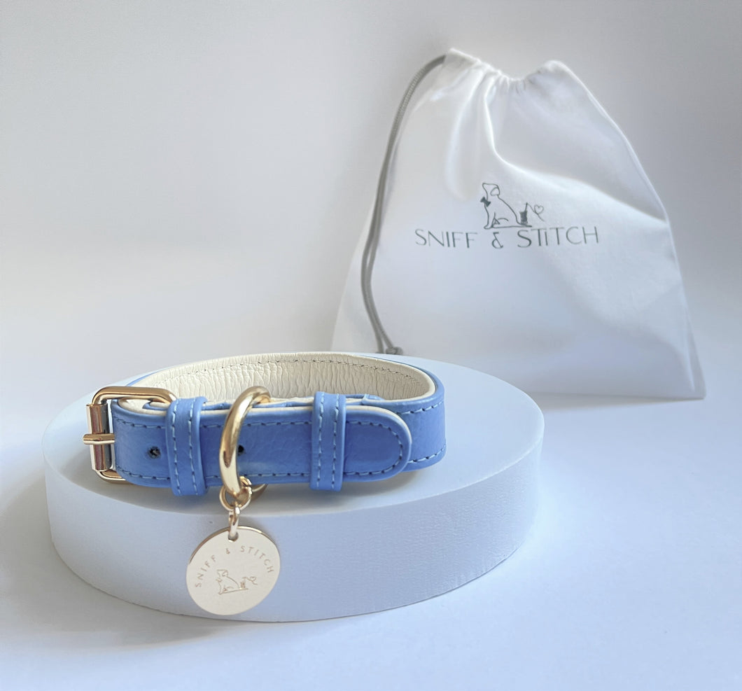 Azure Blue Traditional Dog Collar