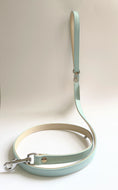 Aquamarine Traditional Leather Dog Lead